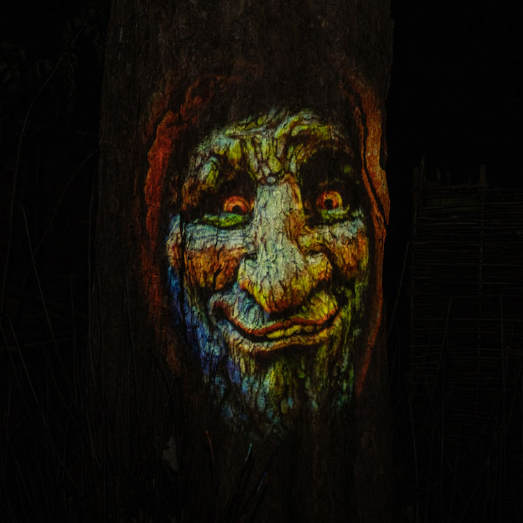 Glowing Tree